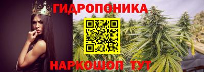 гашишное масло Берёзовский