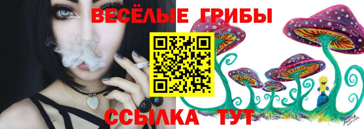 Гусиноозёрск  закладки  Вход с VPN  Галлюциногенные грибы MAGIC MUSHROOMS  Галлюциногенные грибы прущие грибы 